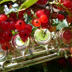 Пазл: Красная смородина