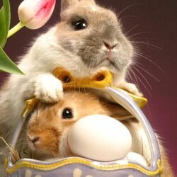 Пазл: Кролики