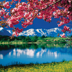 Пазл: Весна