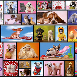 Пазл: Малыши