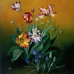 Пазл: Тюльпаны