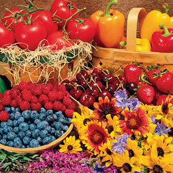 Пазл: Урожай