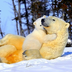 Пазл: Чистая любовь