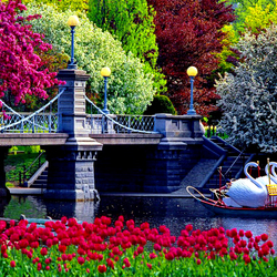 Пазл: Мостик в парке