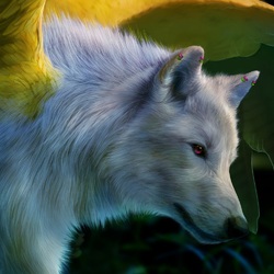 Пазл: Симуран