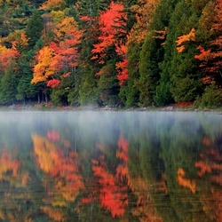 Пазл: Туман над водой