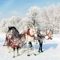 Пазл: Русская тройка