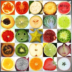 Пазл: В разрезе