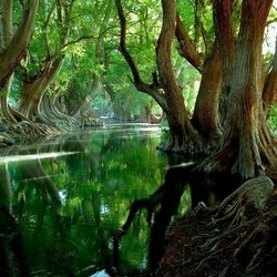 Пазл: Река Верде, Гвадалахара, Мексика 