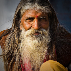 Пазл: Мудрец