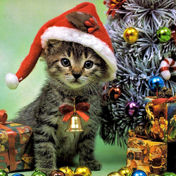 Пазл: Я сам подарок