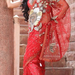 Пазл: Индийское сари