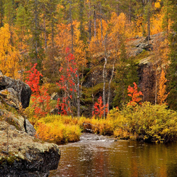 Пазл: Осенние краски