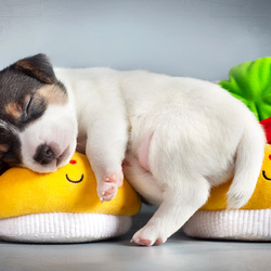 Пазл: Уютное местечко