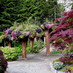 Пазл: Аляскинский  ботанический  сад