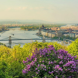 Пазл: Весенний Будапешт