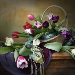 Пазл: Тюльпановая рапсодия 
