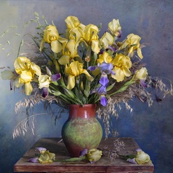 Пазл: Солнечные ирисы 