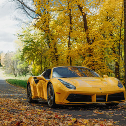 Пазл: Желтое авто среди желтых листьев