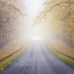 Пазл: Осеняя дорога