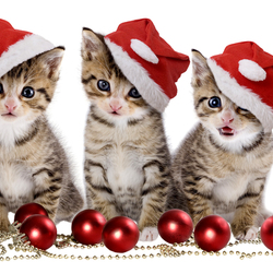 Пазл: Новогодний