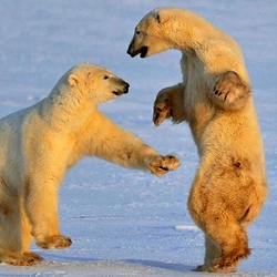 Пазл: Брейк-данс