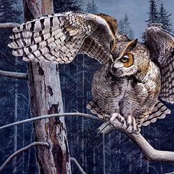 Пазл: Летунья 