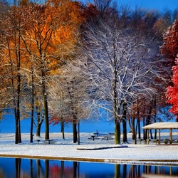 Пазл: Первый снег