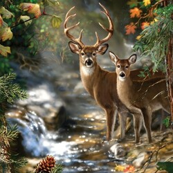 Пазл: Олени в лесу