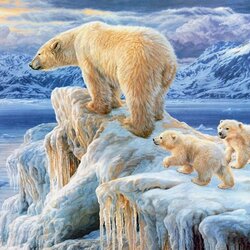 Пазл: Белые медведи