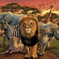 Пазл: Животные Африки