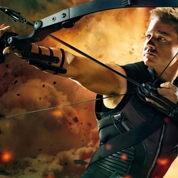 Пазл: Соколиный глаз