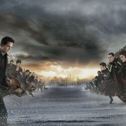 Пазл: Схватка