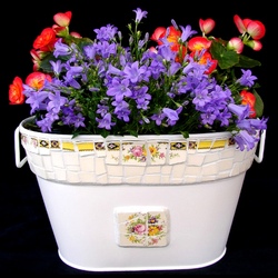 Пазл: Мозаика