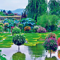 Пазл: Парк в Японии