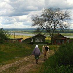 Пазл: Вечер