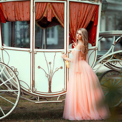 Пазл: Золушка