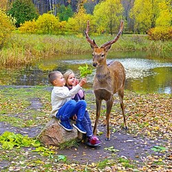 Пазл: Знакомство