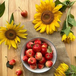 Пазл: Подсолнухи и яблочки