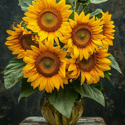 Пазл: Подсолнухи