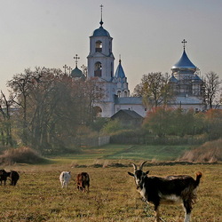 Пазл: У стен монастыря