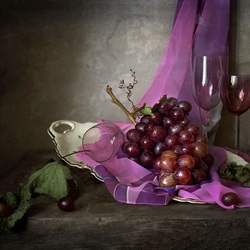 Пазл: Мадам Виноградова на отдыхе 