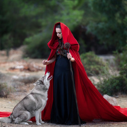 Пазл: Красная шапочка