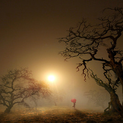 Пазл: Девушка с красным зонтом