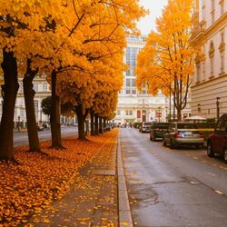 Пазл: По осенним улочкам Вены