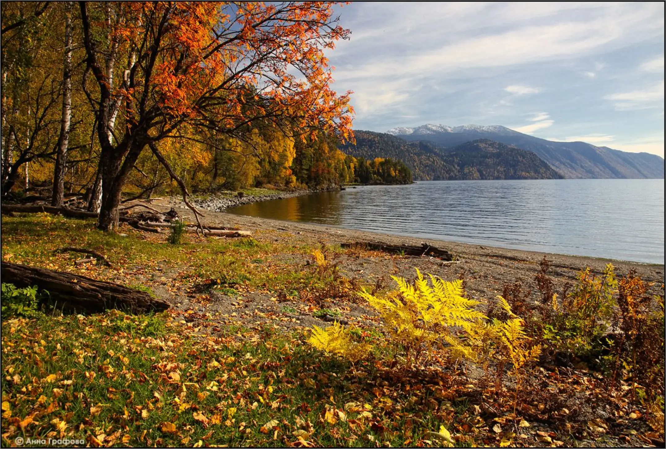 Телецкое озеро осень. Телецкое в октябре. Телецкое в октябре. Телецкое озеро осенью. Телецкое озеро алтай осенью.