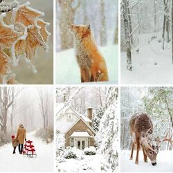 Пазл: Зимний коллаж