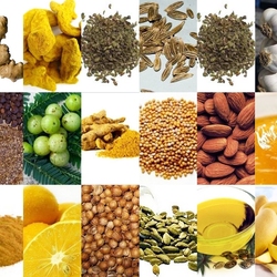 Пазл: Специи