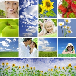 Пазл: Летний коллаж