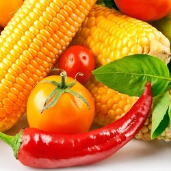 Пазл: Овощная панорама